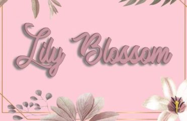 Lily Blossom